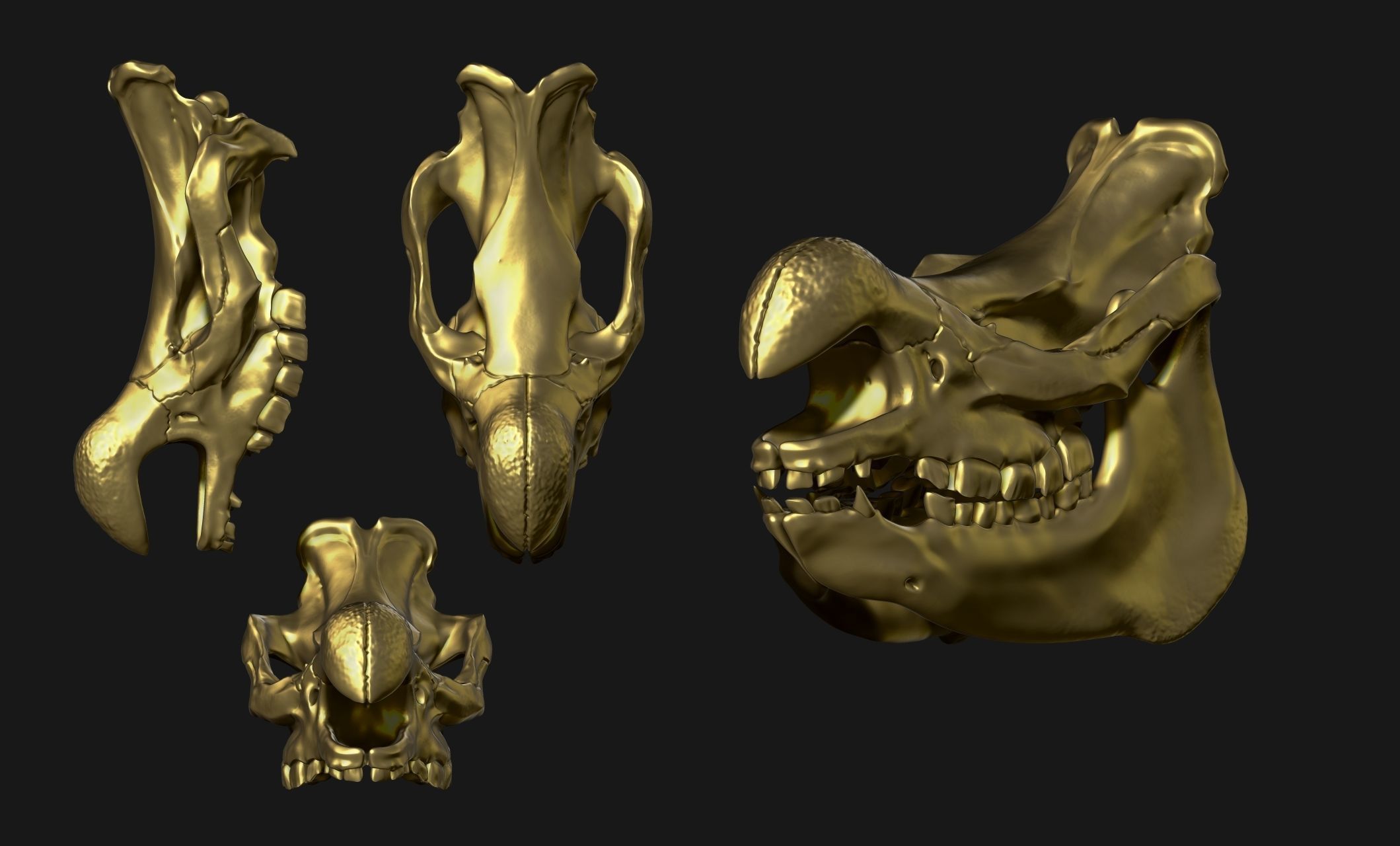 White Rhinoceros Skull - CNC and 3D print model_17