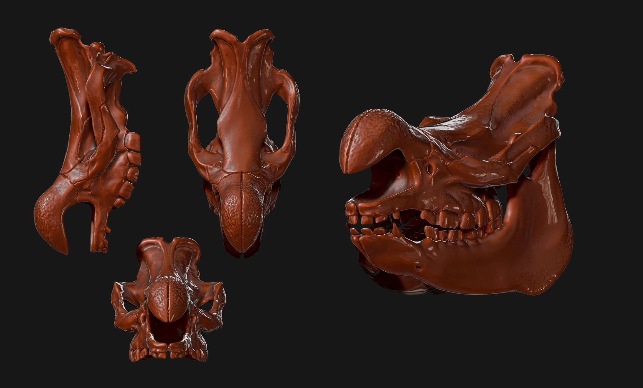 White Rhinoceros Skull - CNC and 3D print model_10