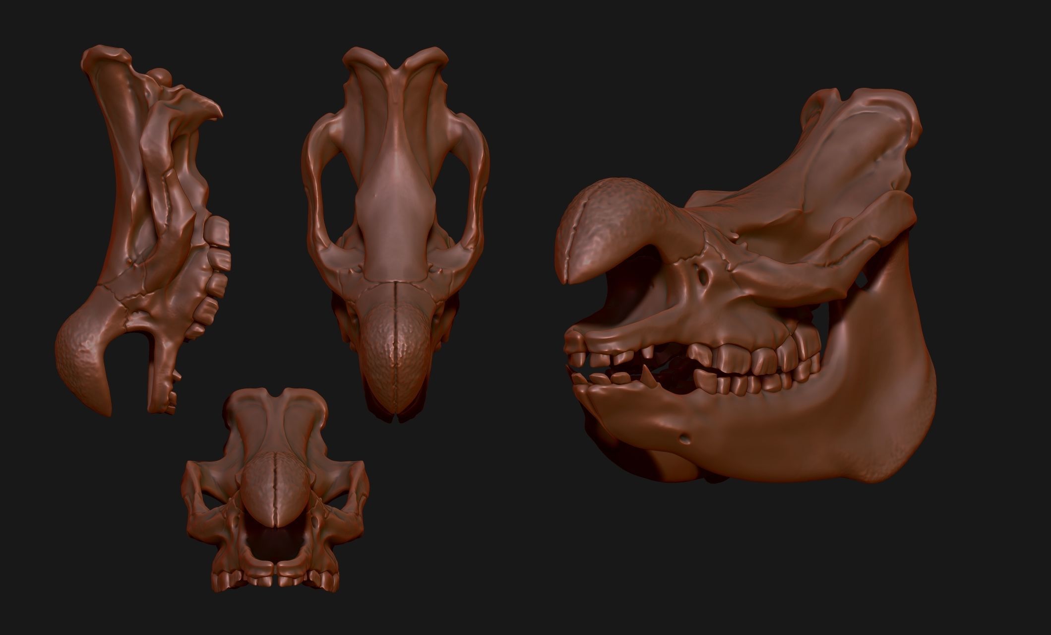 White Rhinoceros Skull - CNC and 3D print model_20