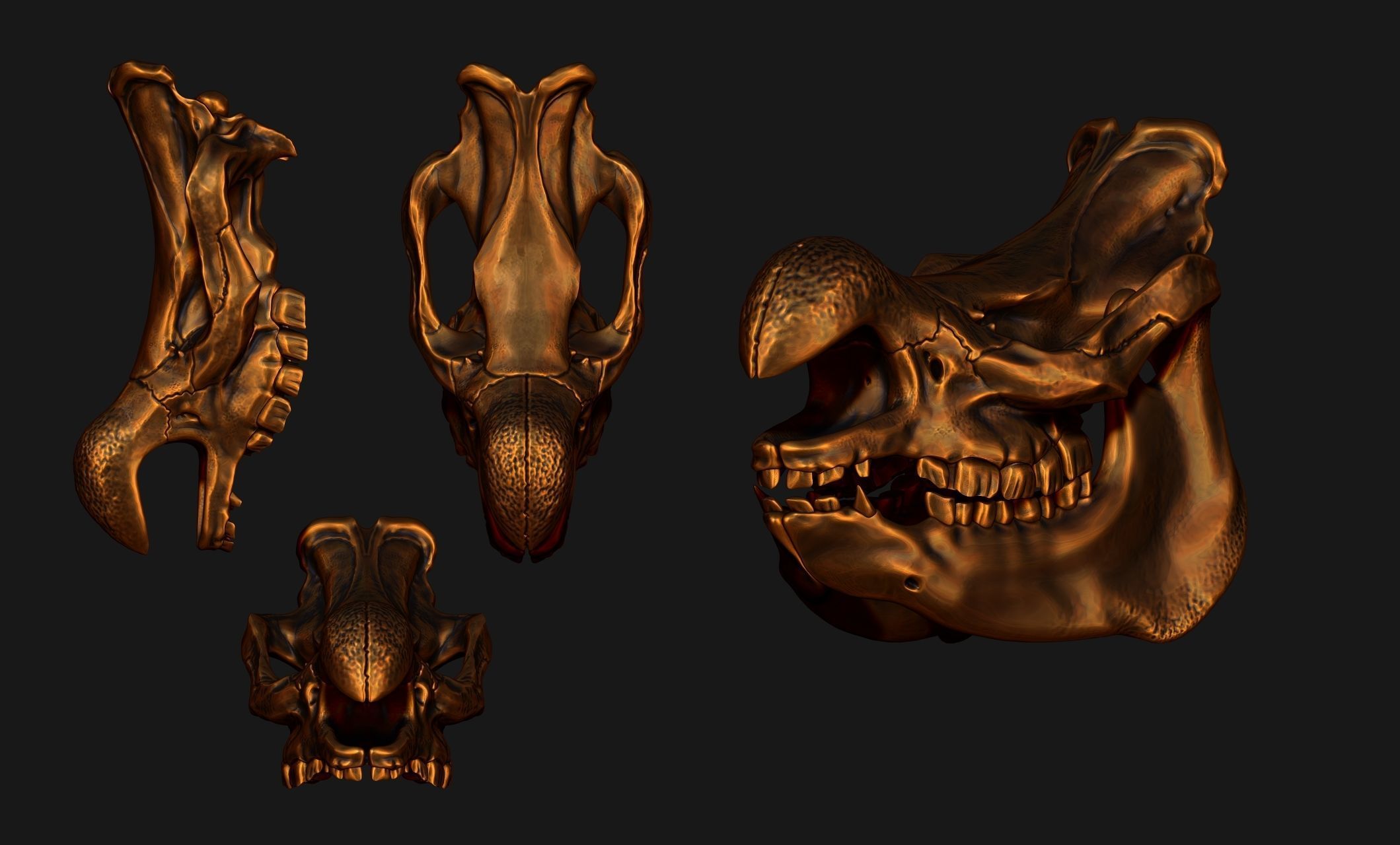 White Rhinoceros Skull - CNC and 3D print model_18