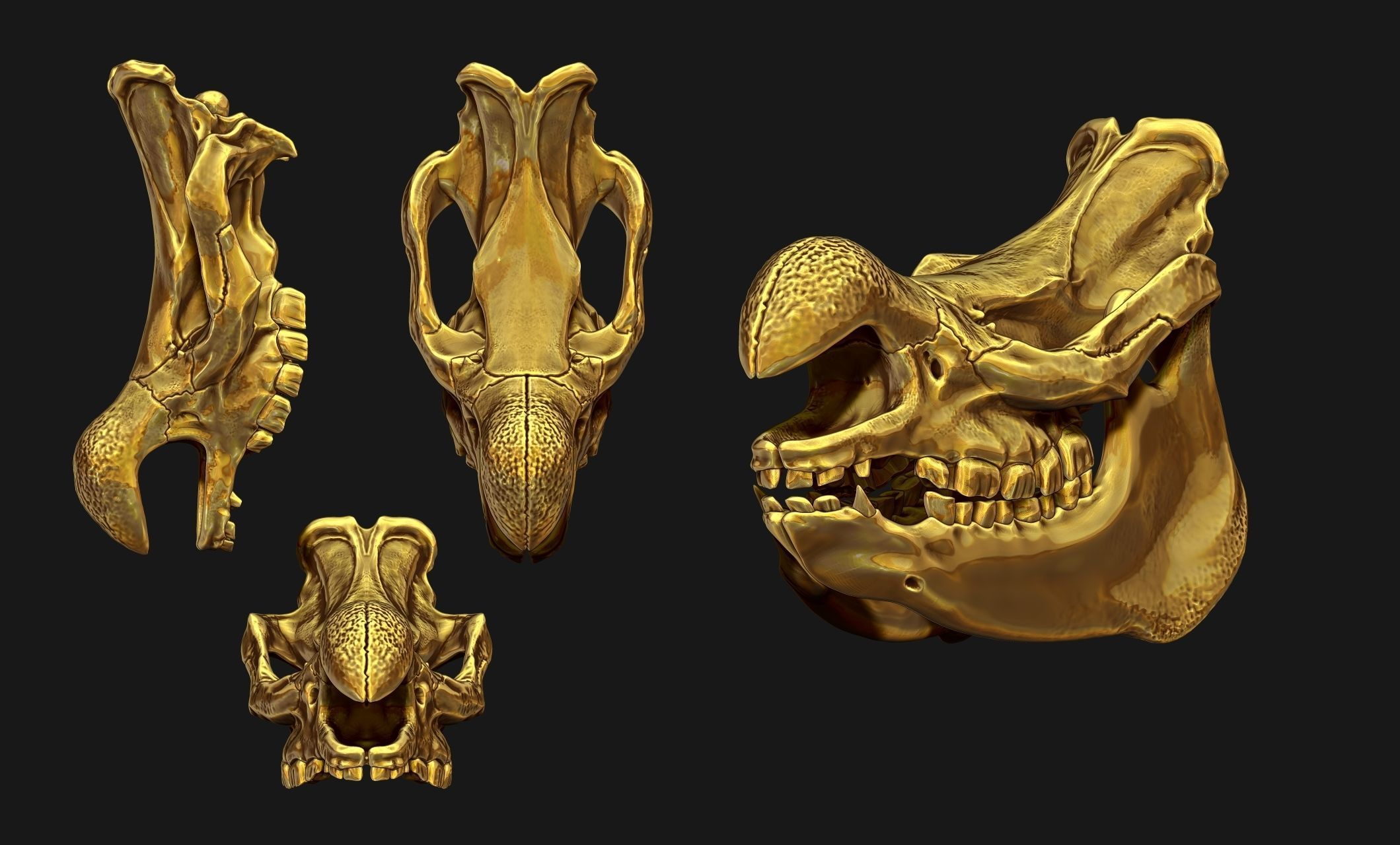 White Rhinoceros Skull - CNC and 3D print model_4