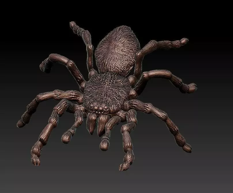 Tarantula spider 3D print model