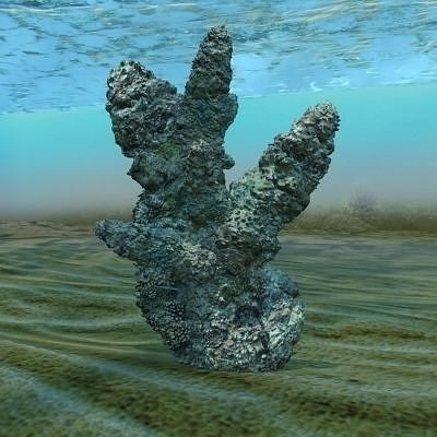 Arm Coral 3D model