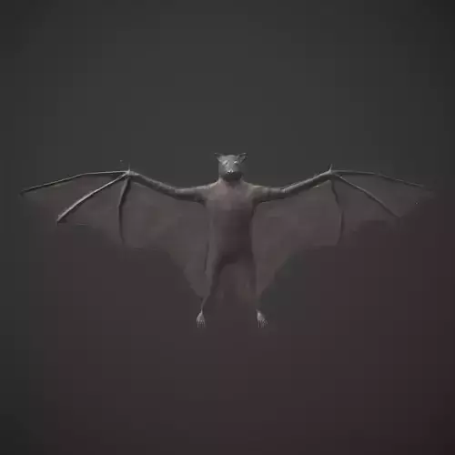 Bat Black Low-poly 3D model