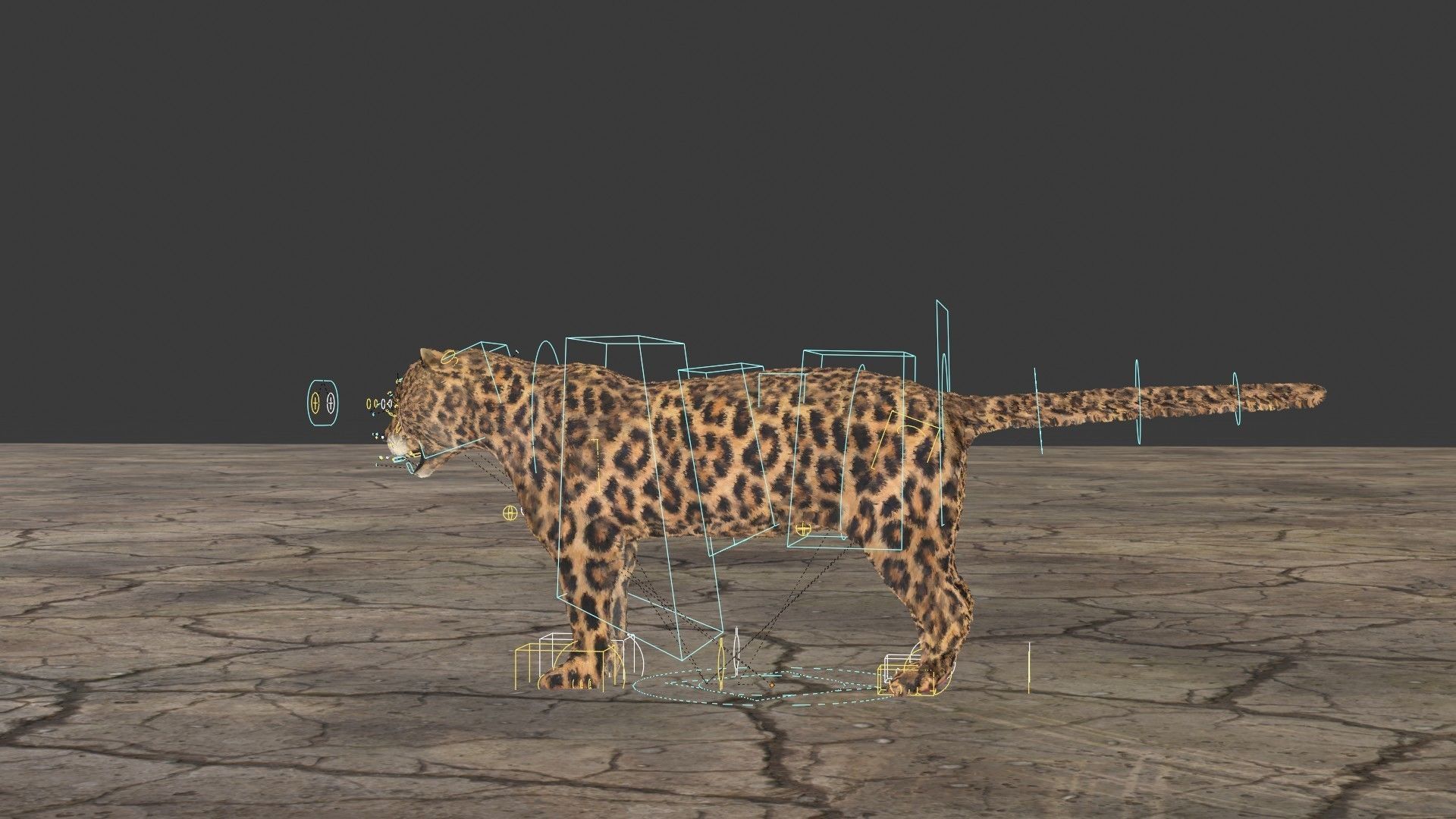 Leopard jaguar running in desert 3D model_6