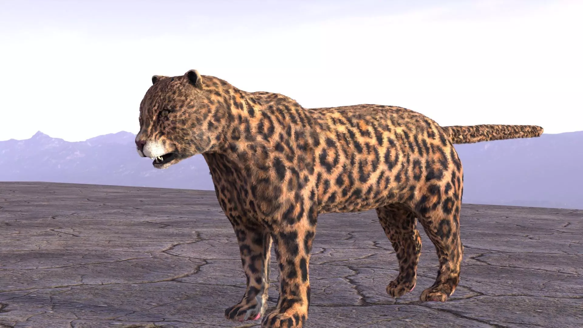Leopard jaguar running in desert 3D model_0