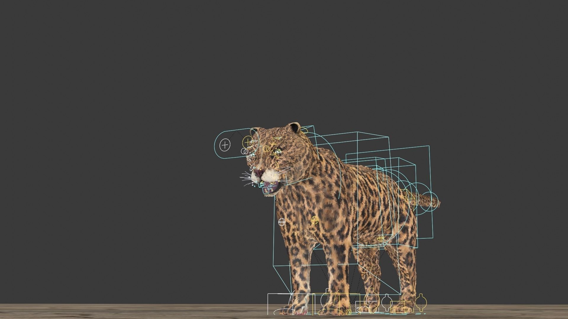 Leopard jaguar running in desert 3D model_5