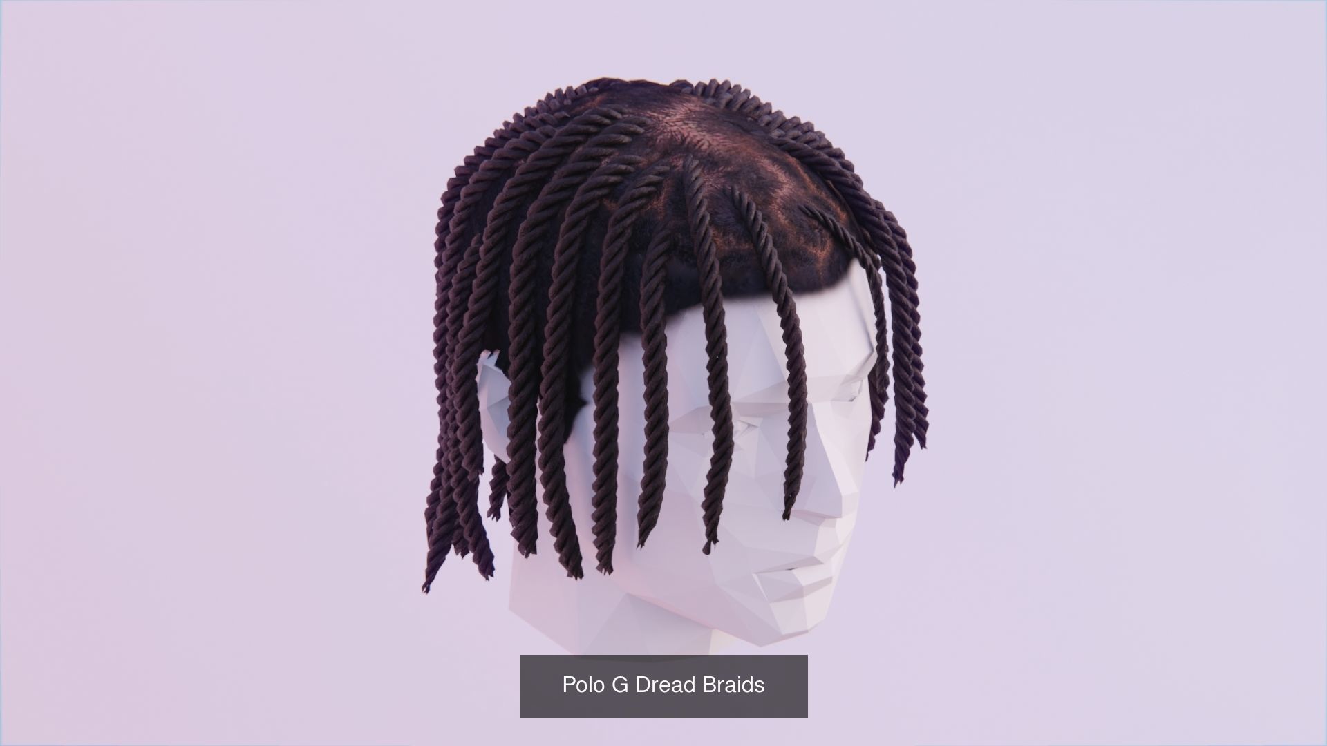 Braided Dreadlocks by Tiko 3D Model Collection_6