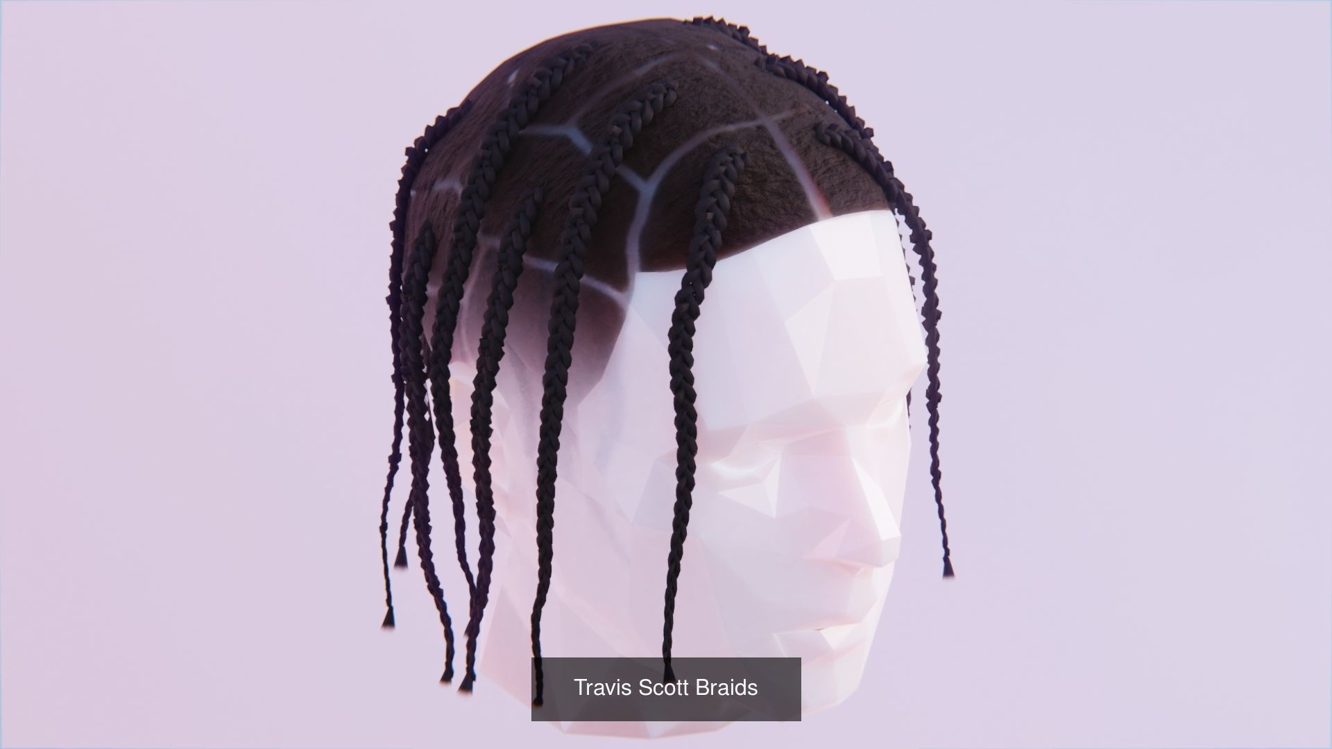 Braided Dreadlocks by Tiko 3D Model Collection_3