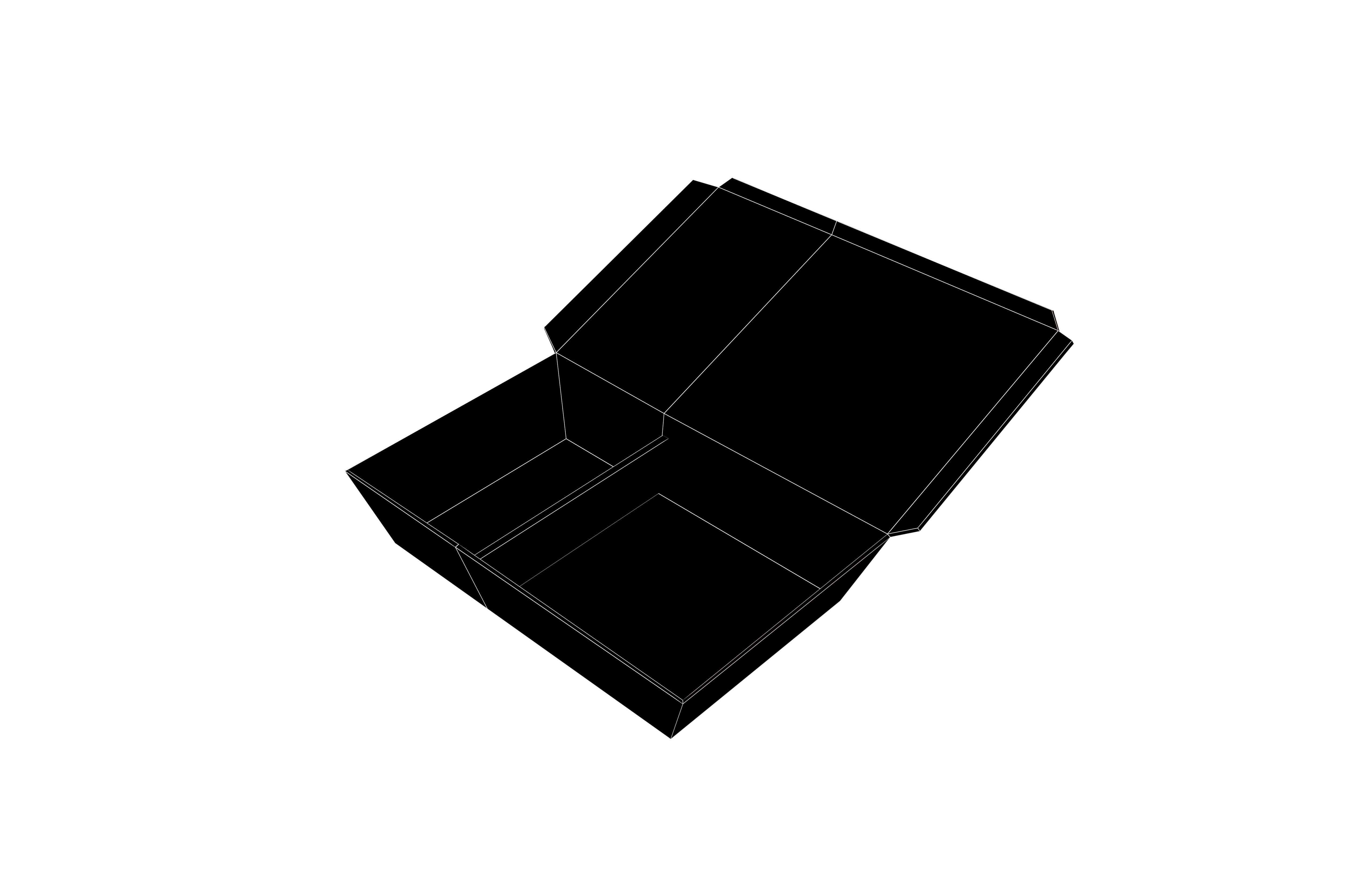 Disposable Lunch Box v1 001 Low-poly 3D model_7