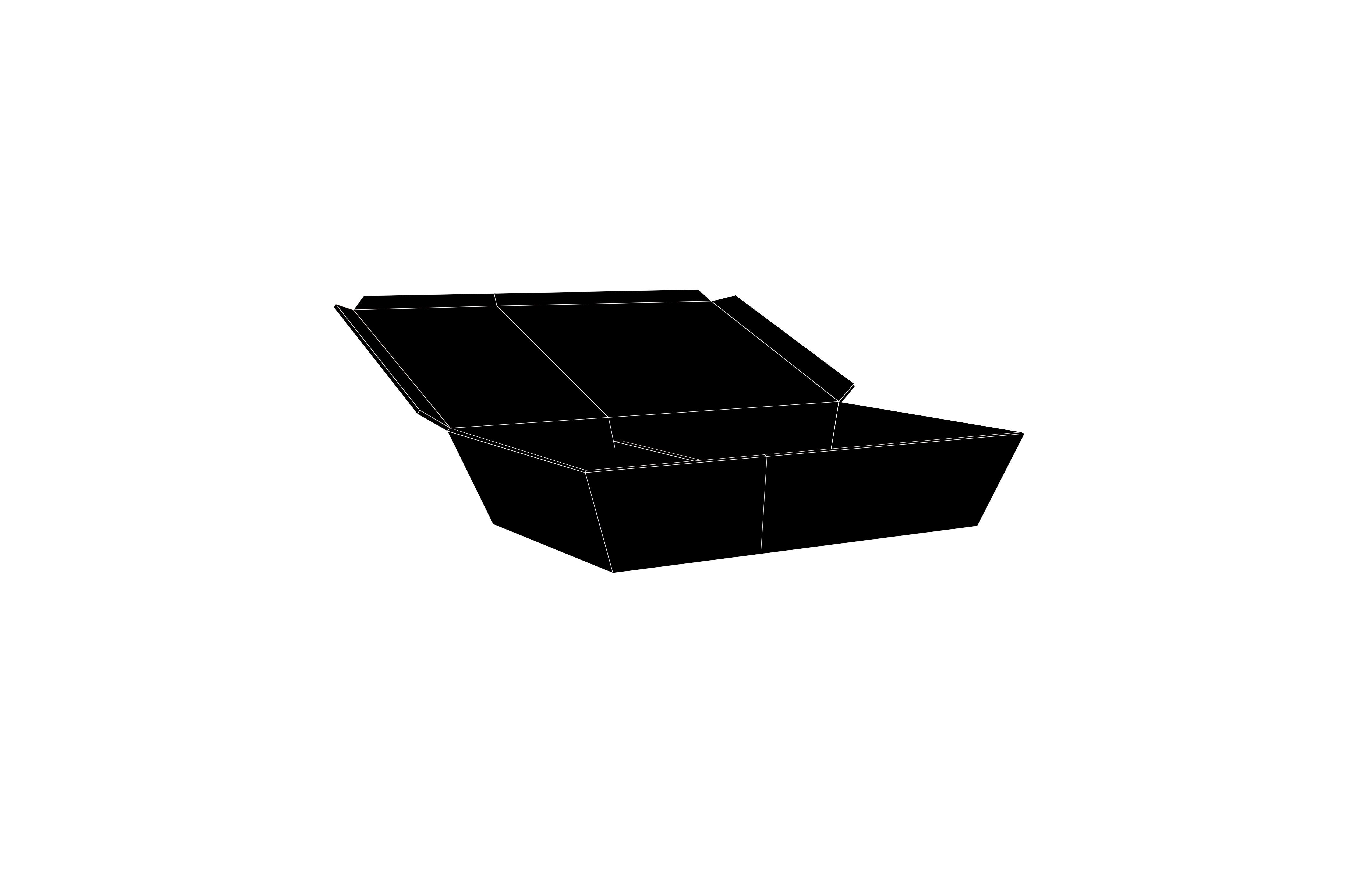 Disposable Lunch Box v1 001 Low-poly 3D model_6