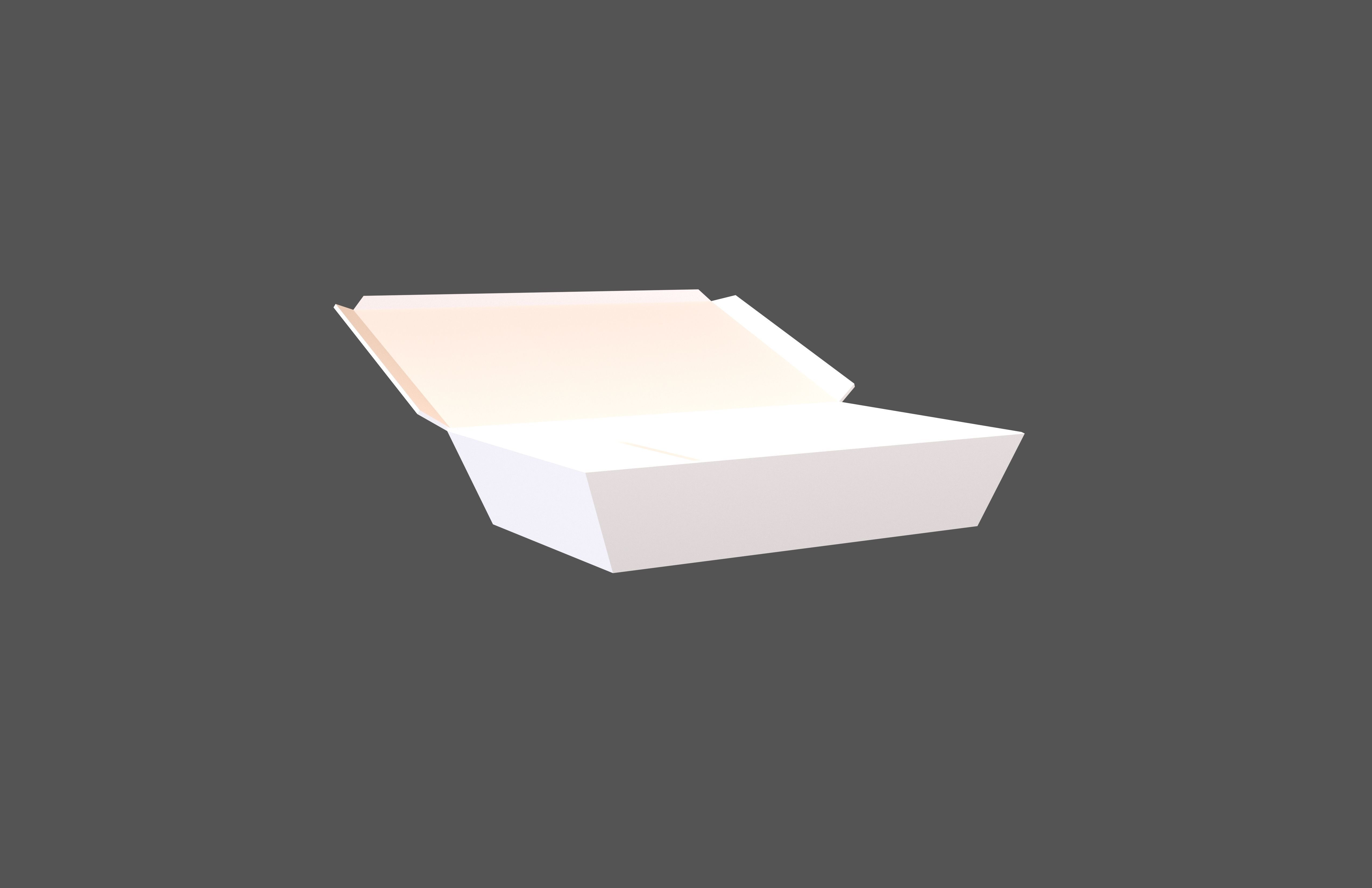 Disposable Lunch Box v1 001 Low-poly 3D model_1