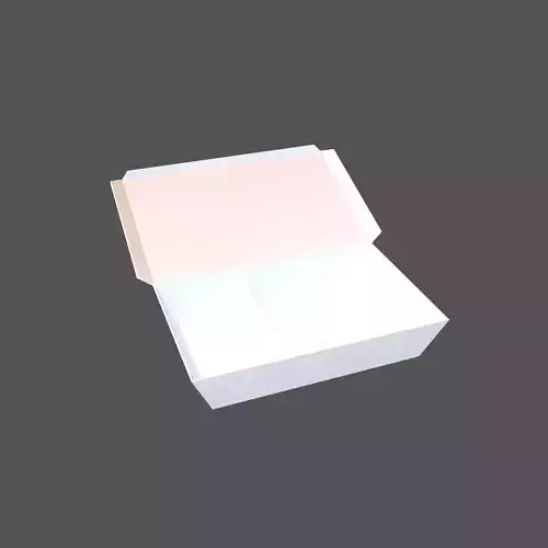 Disposable Lunch Box v1 002