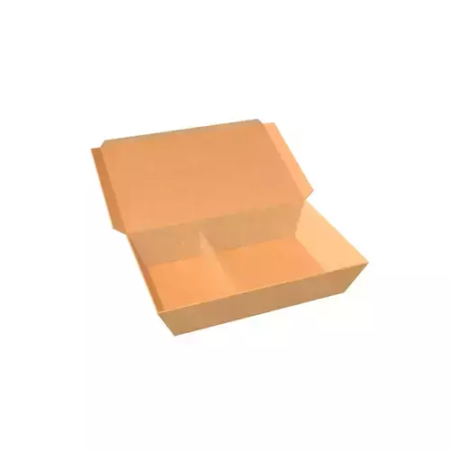 Disposable Lunch Box v1 003