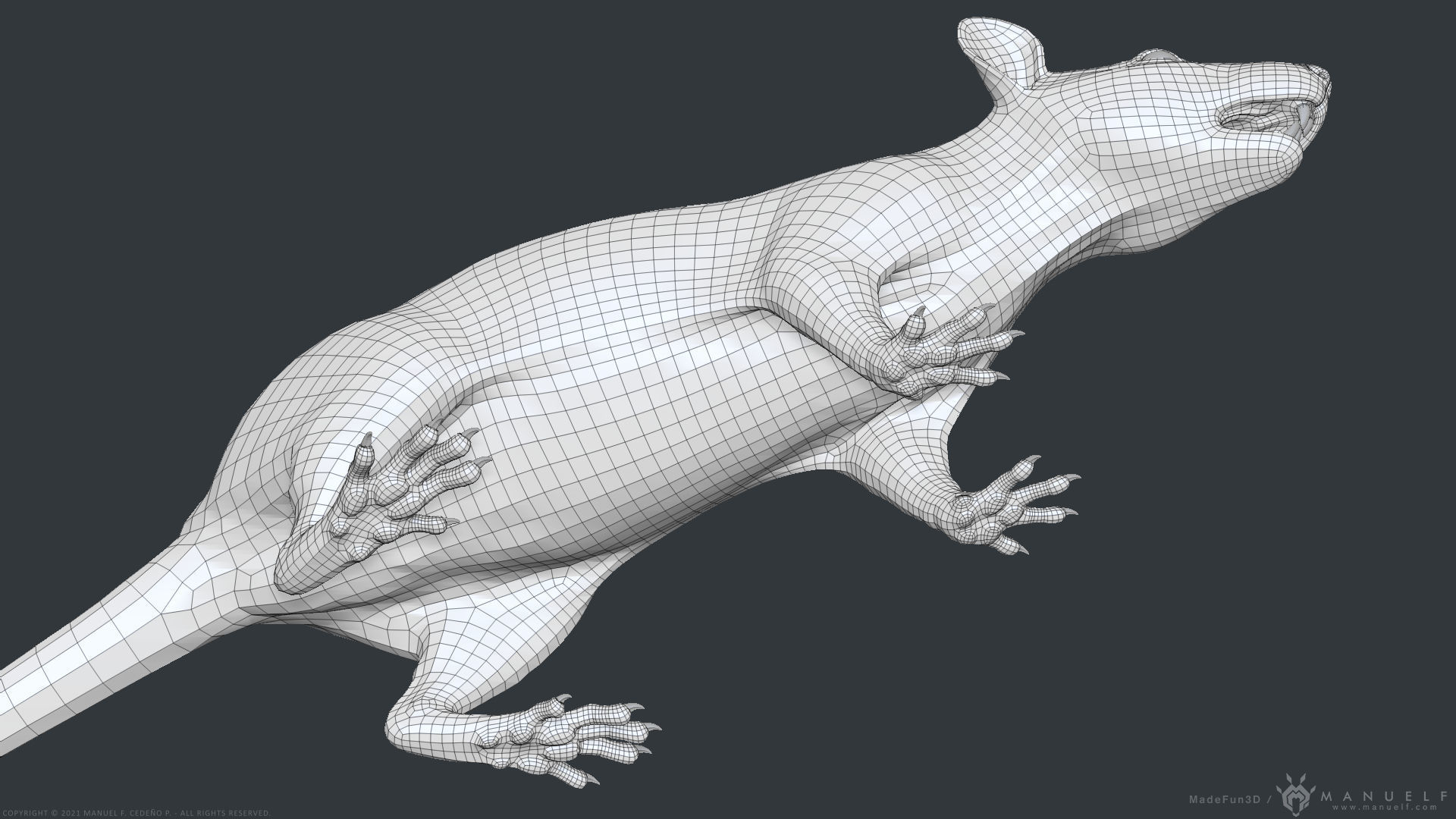 Rat - Highpoly Sculpture 3D model_30