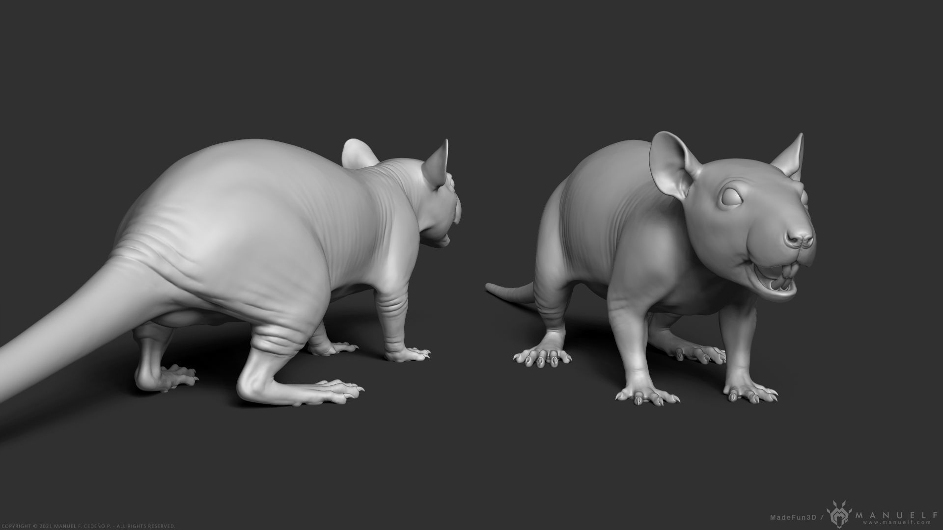 Rat - Highpoly Sculpture 3D model_5