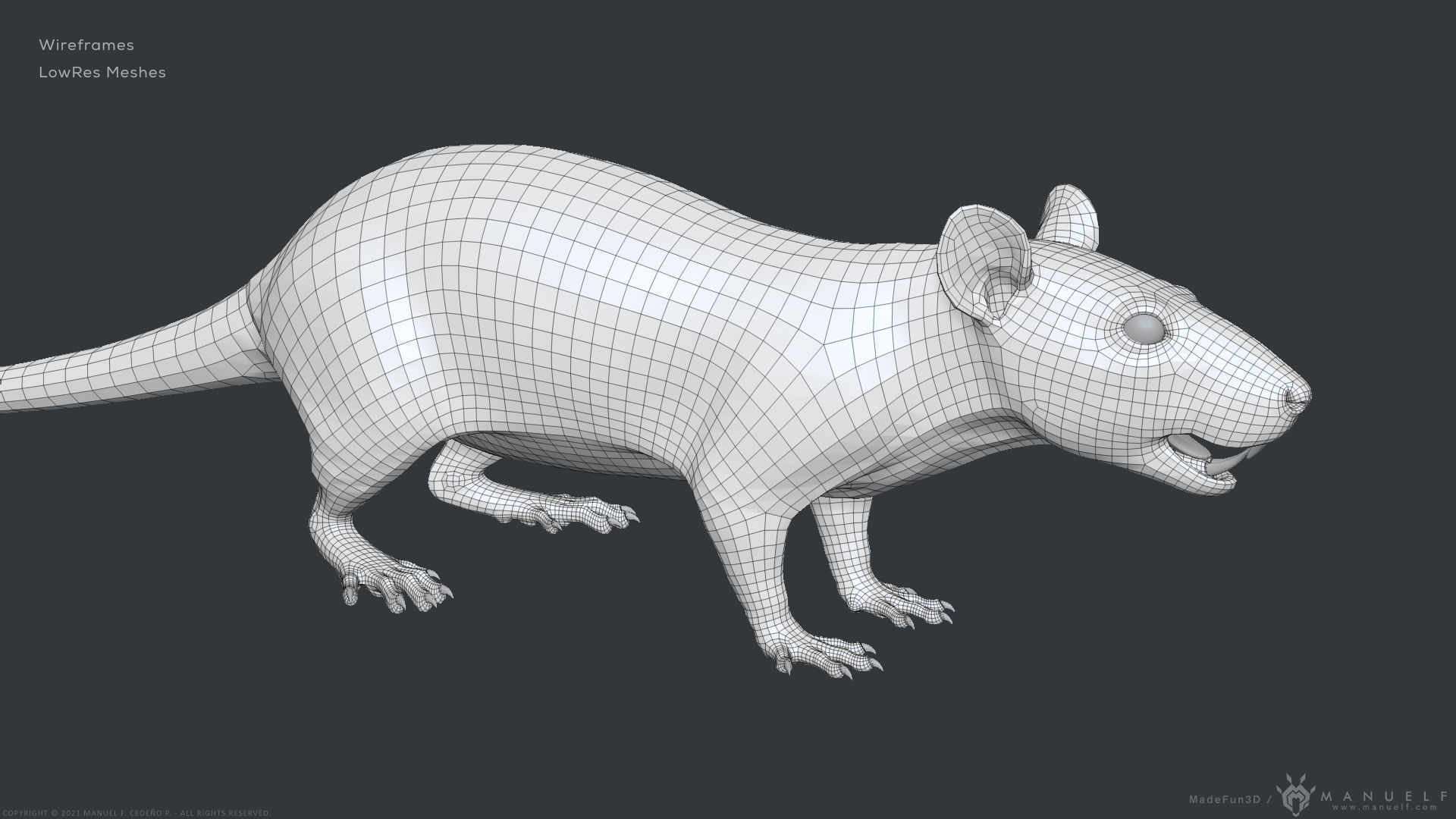 Rat - Highpoly Sculpture 3D model_25