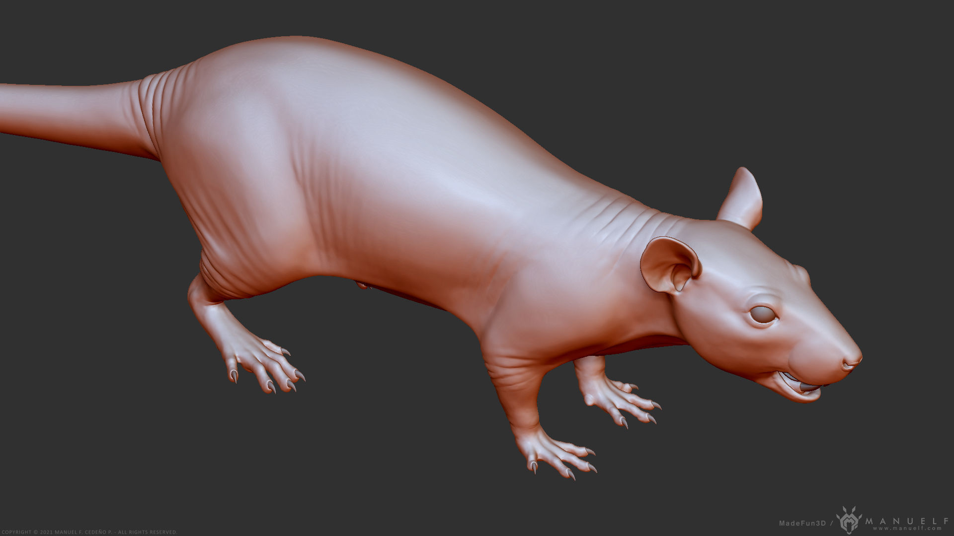 Rat - Highpoly Sculpture 3D model_22