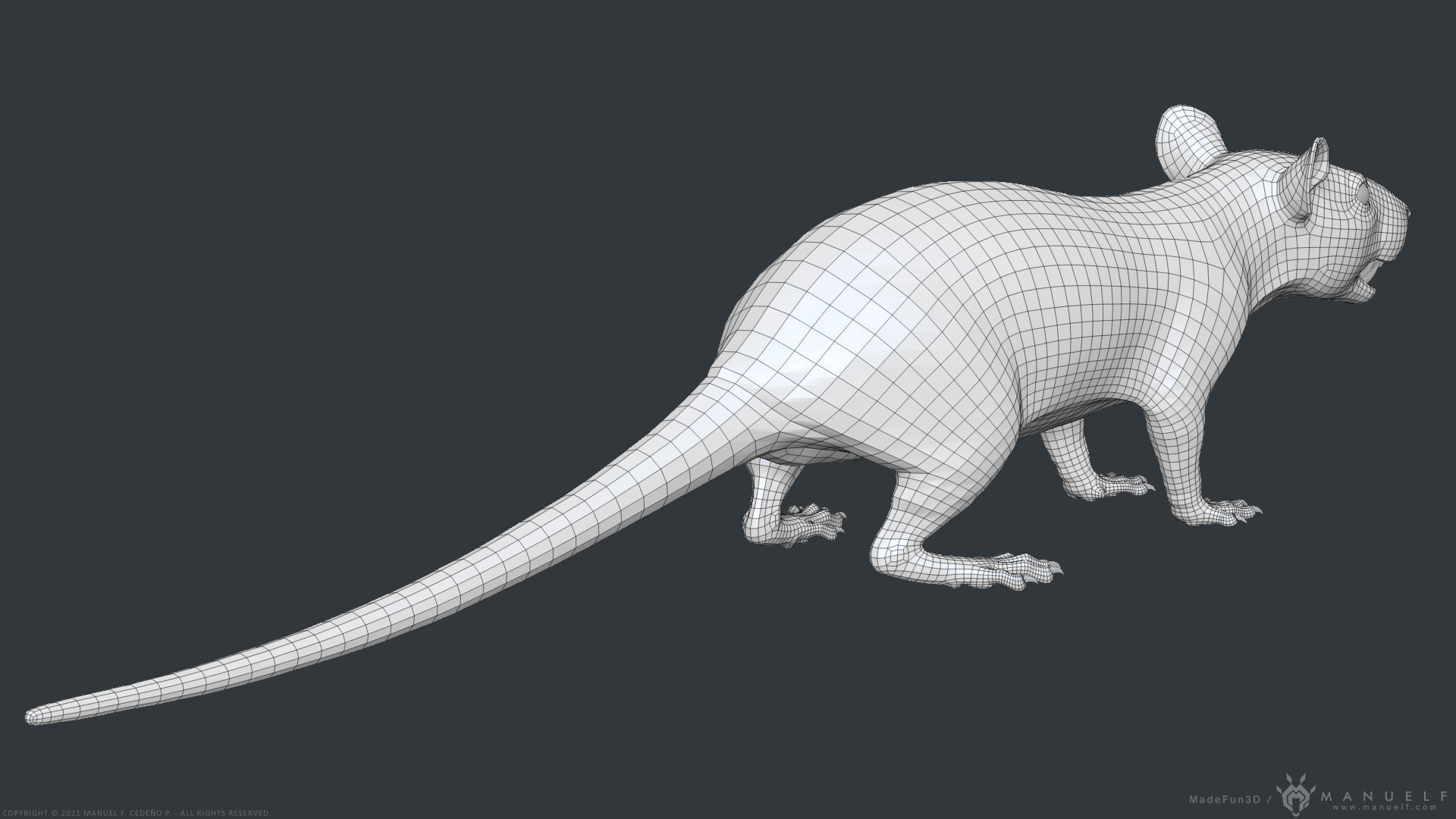 Rat - Highpoly Sculpture 3D model_29