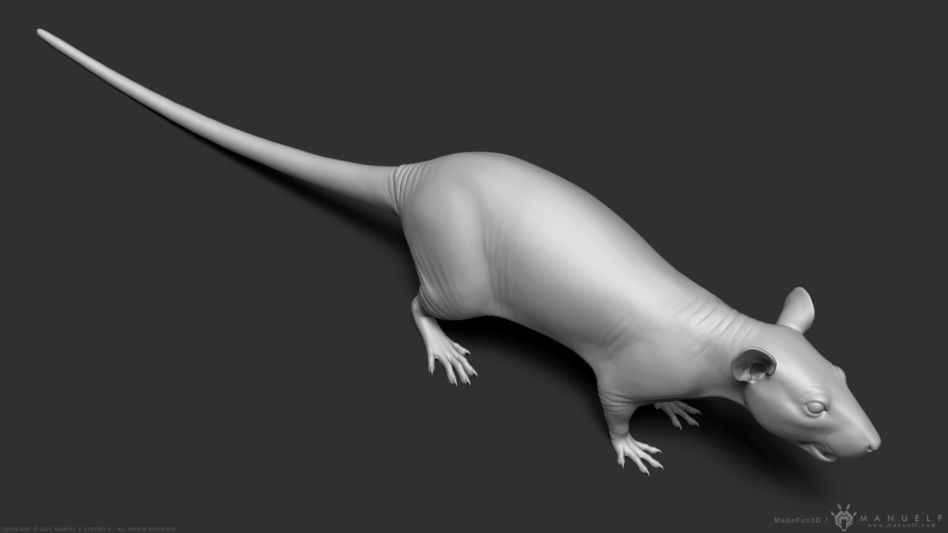 Rat - Highpoly Sculpture 3D model_14