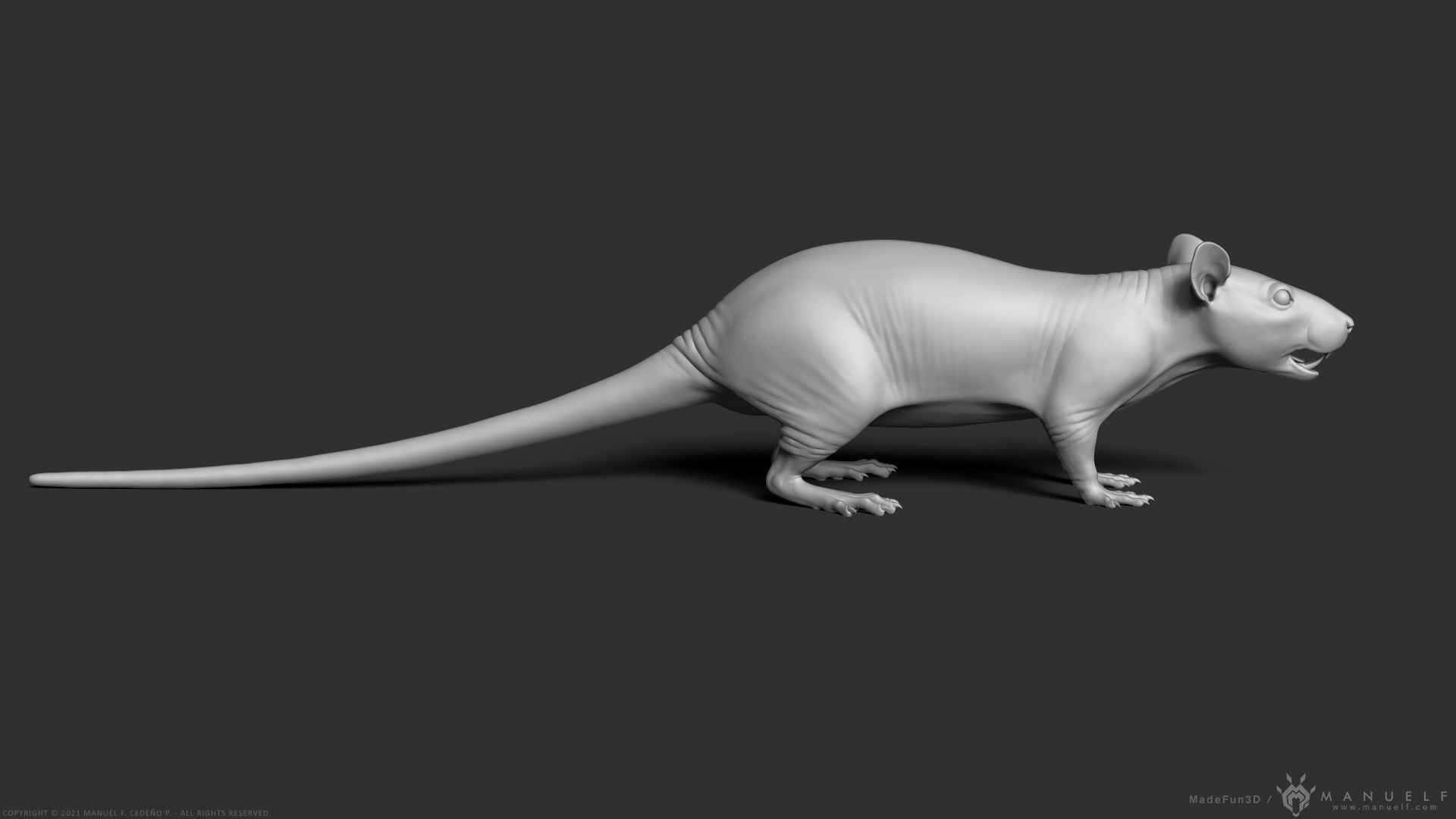Rat - Highpoly Sculpture 3D model_6
