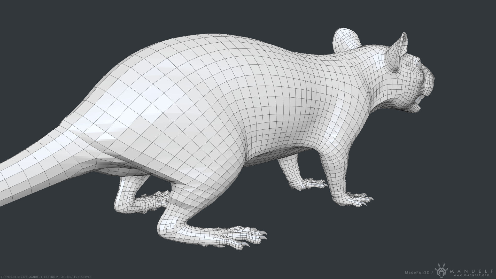 Rat - Highpoly Sculpture 3D model_28