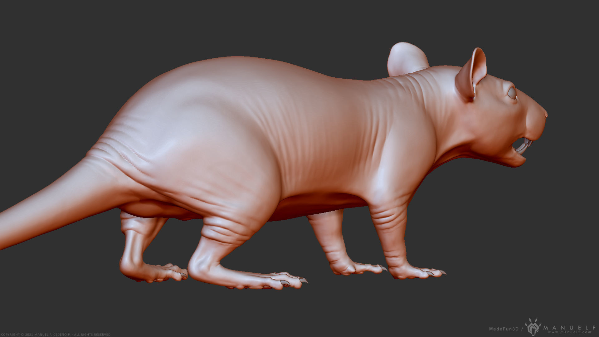 Rat - Highpoly Sculpture 3D model_21