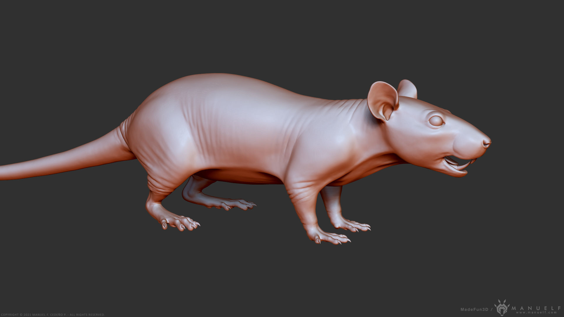 Rat - Highpoly Sculpture 3D model_1