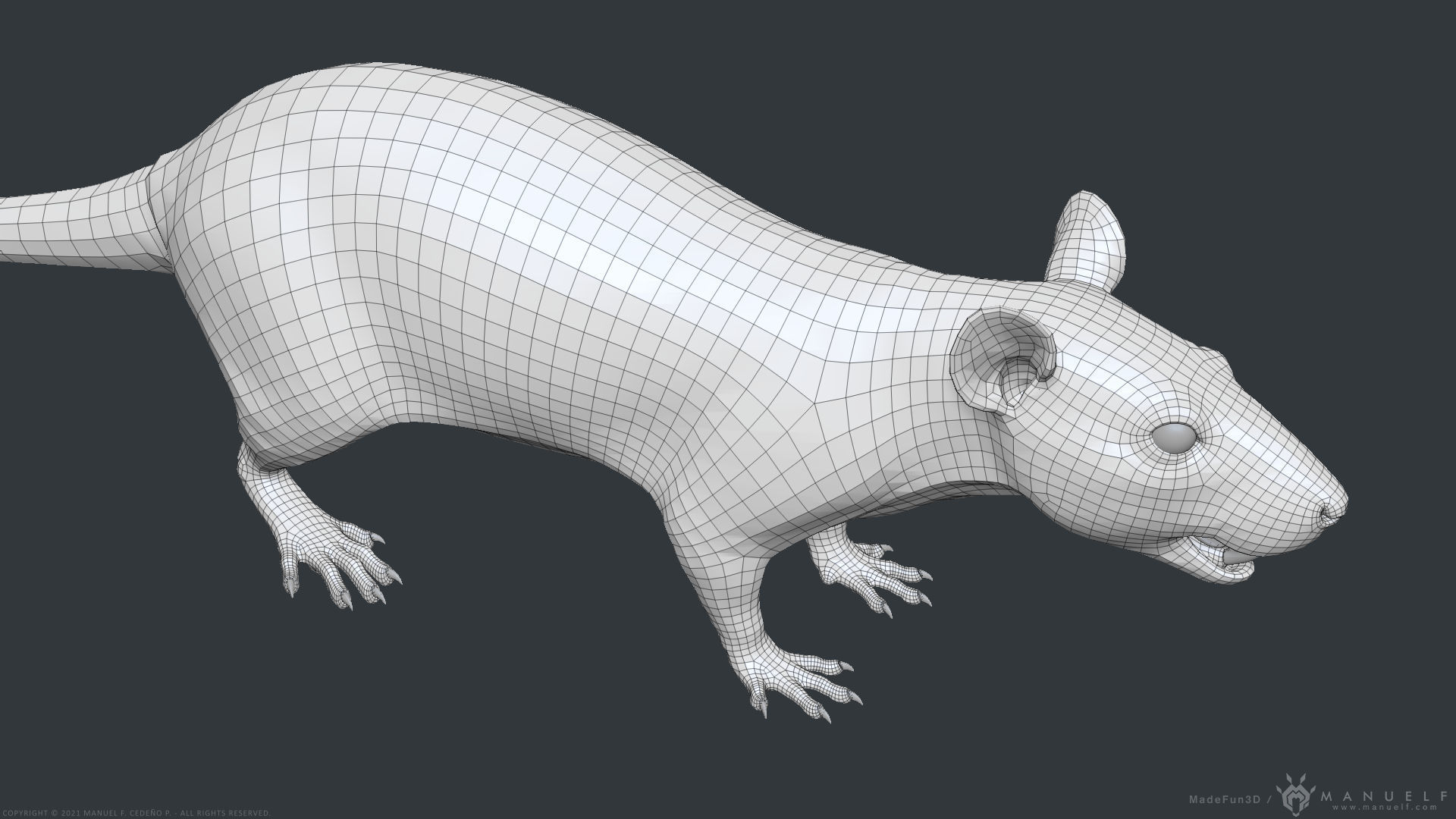 Rat - Highpoly Sculpture 3D model_27