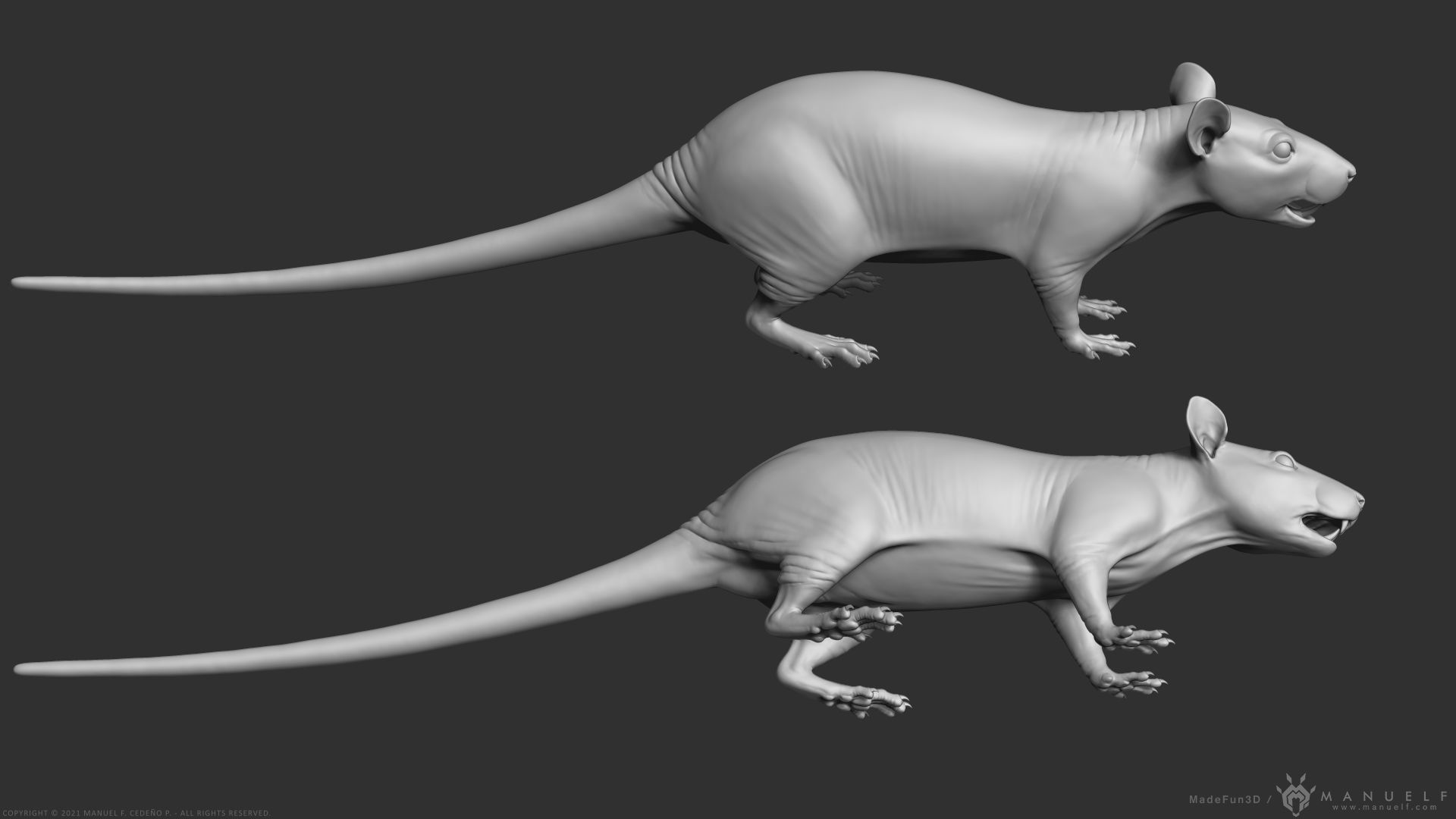Rat - Highpoly Sculpture 3D model_7