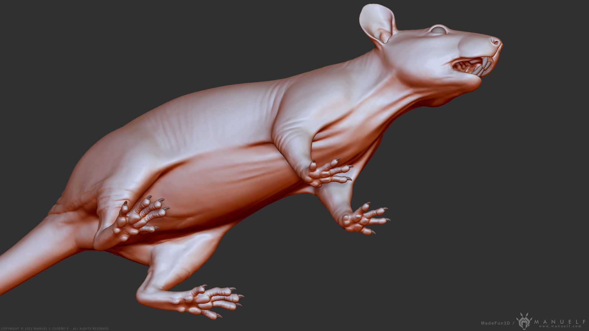 Rat - Highpoly Sculpture 3D model_23