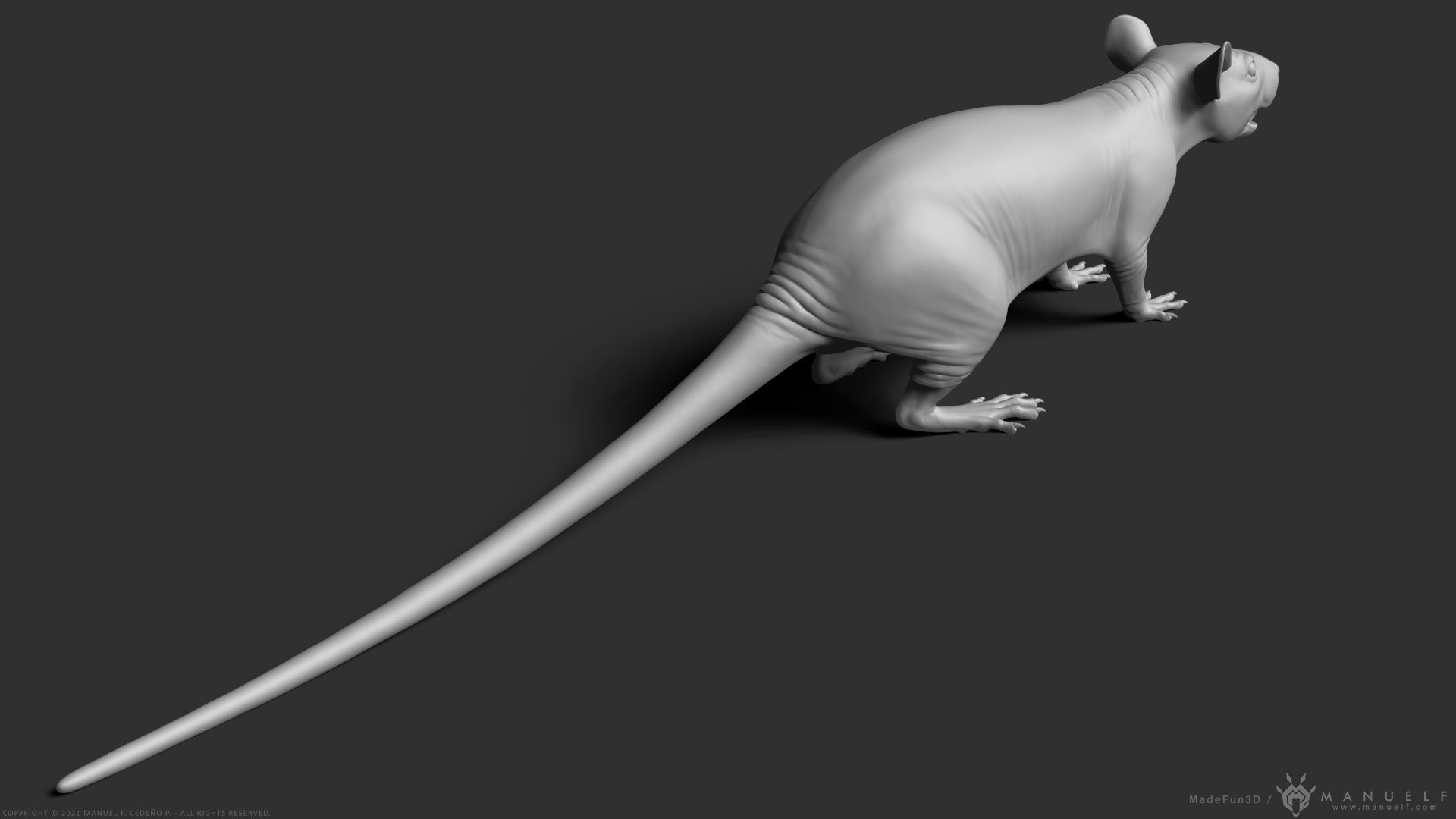Rat - Highpoly Sculpture 3D model_13