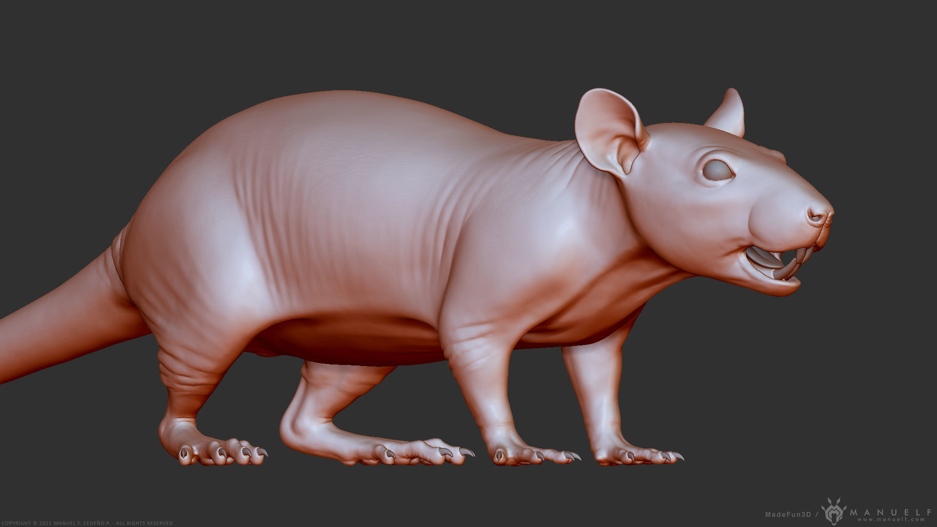 Rat - Highpoly Sculpture 3D model_20