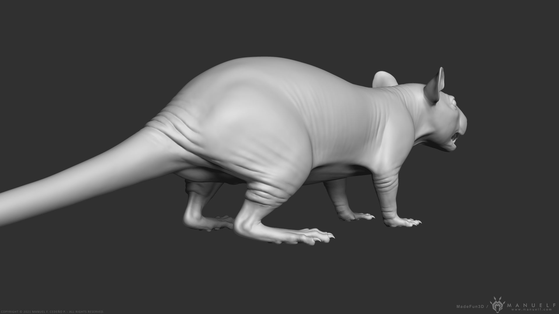 Rat - Highpoly Sculpture 3D model_11