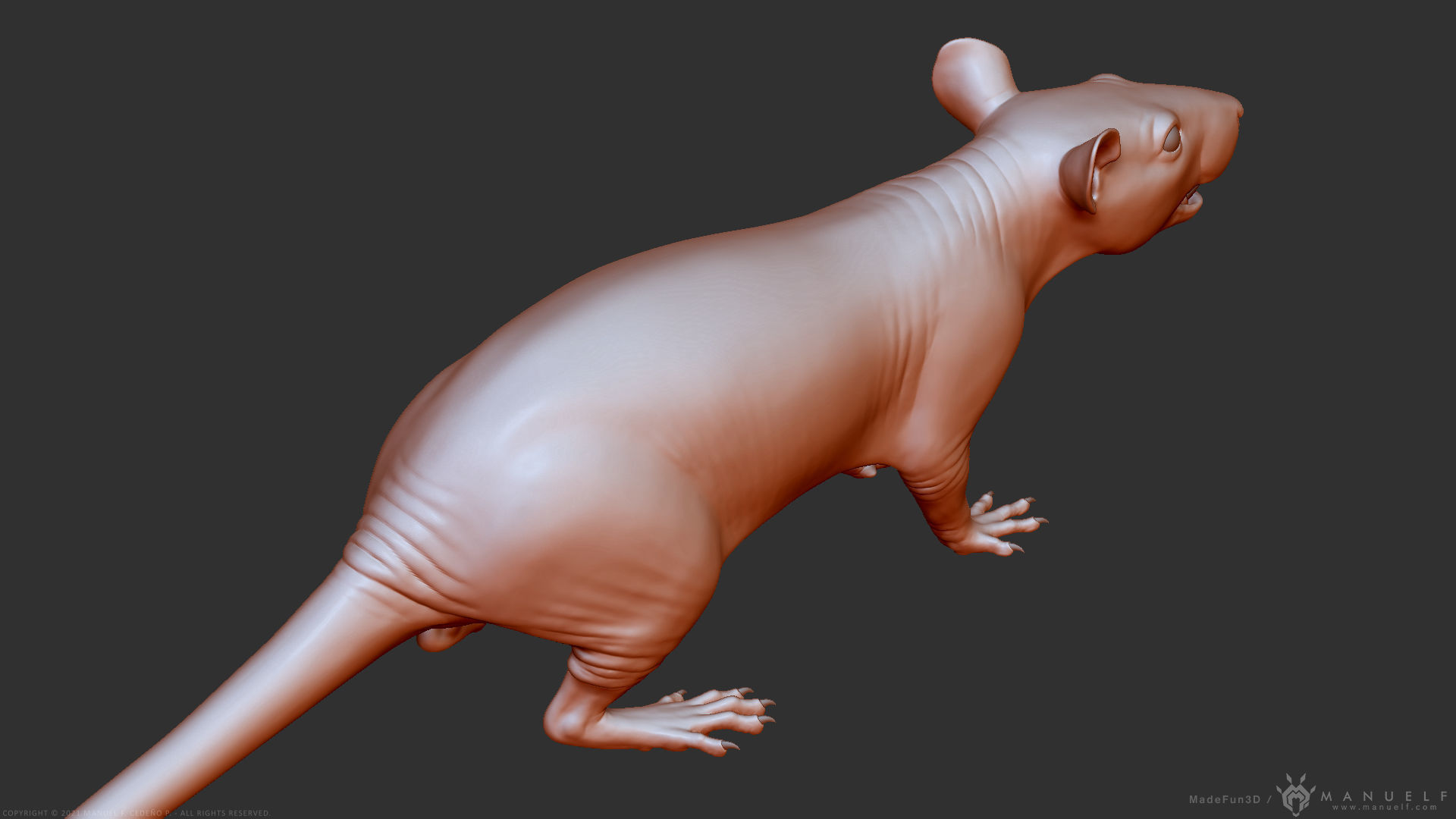 Rat - Highpoly Sculpture 3D model_24
