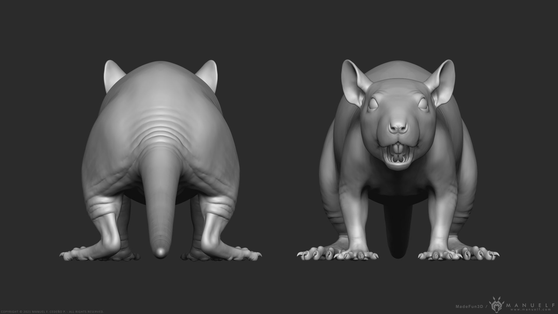 Rat - Highpoly Sculpture 3D model_9