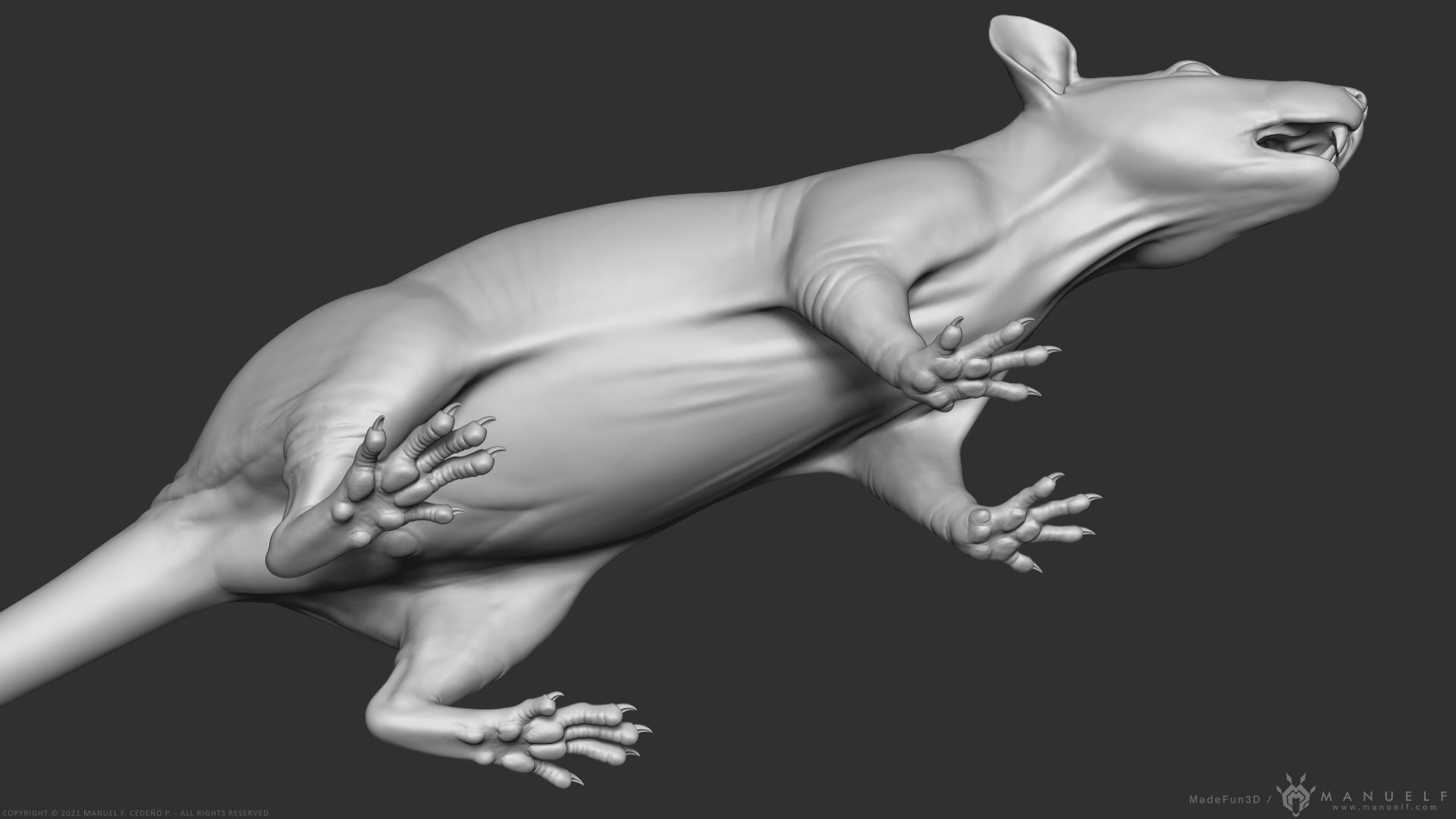 Rat - Highpoly Sculpture 3D model_15