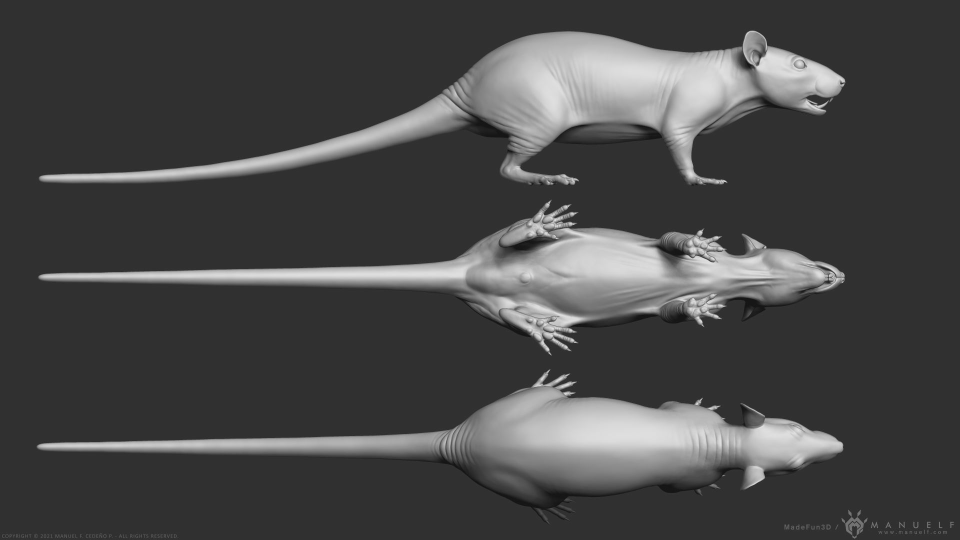 Rat - Highpoly Sculpture 3D model_3