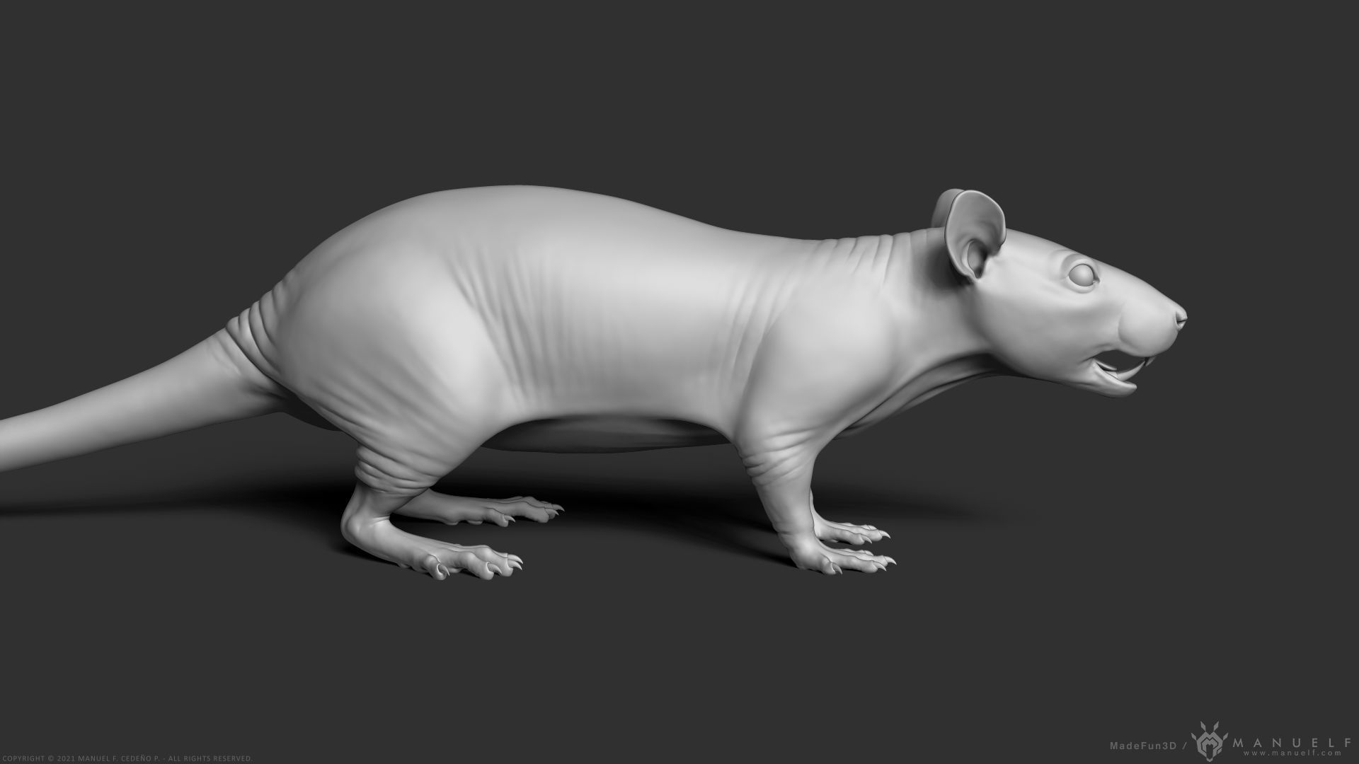 Rat - Highpoly Sculpture 3D model_4