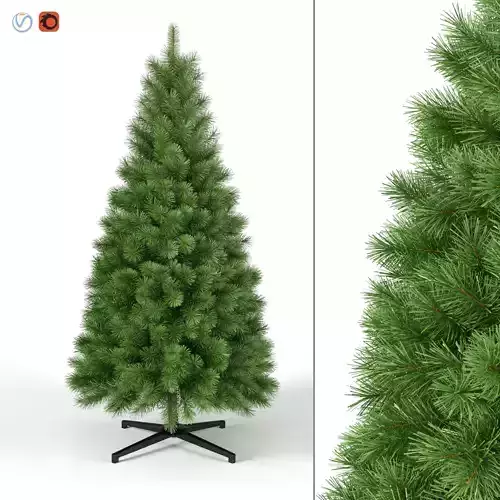 Christmas Tree 7 feet
