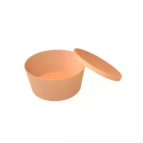 Round Disposable Lunch Box v2 001