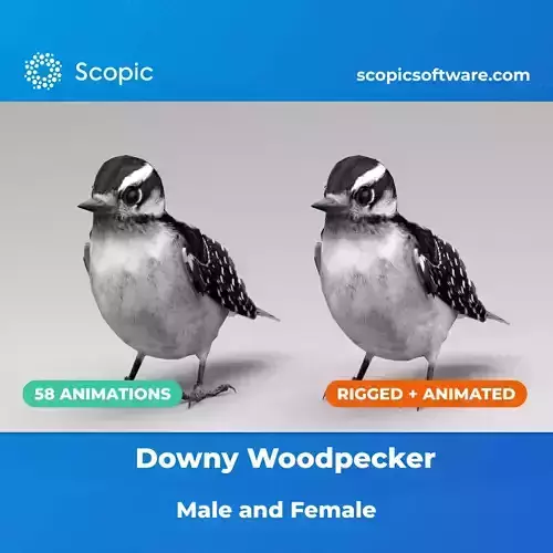3D Bird Pack Downy Woodpecker Male and Female