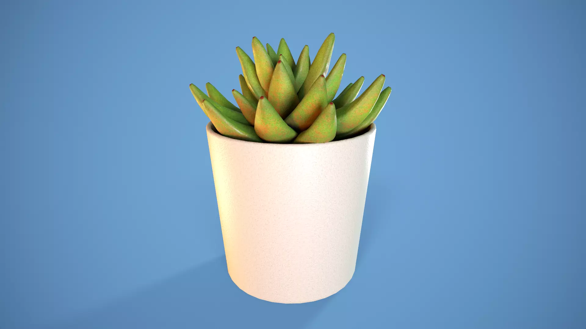 Potted Succulent Low-poly 3D model