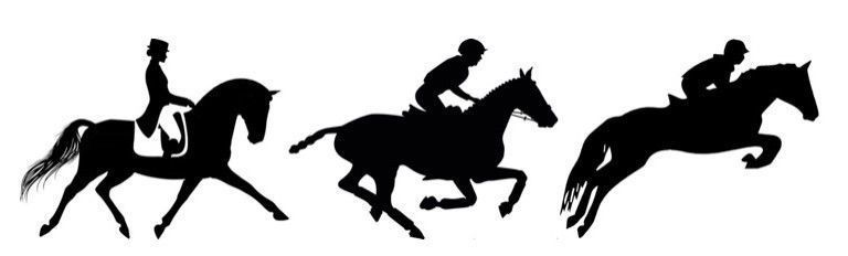 three horse riding emblem of equestrian competition 3D print model_5