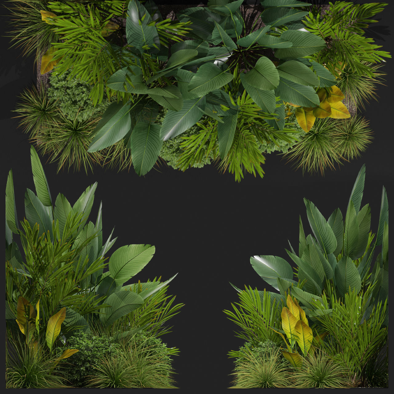 Plants collection 604 3D model_2