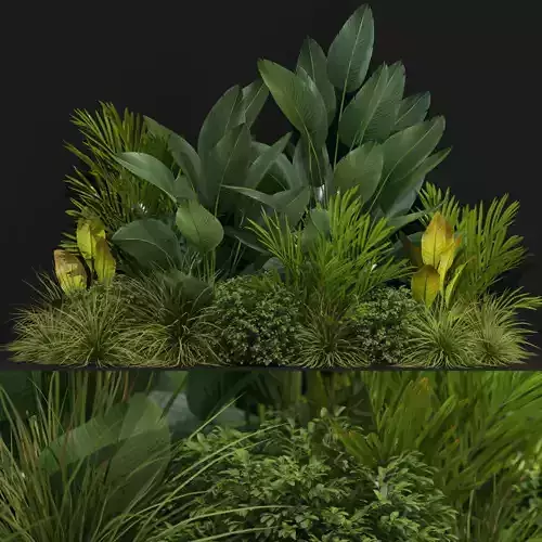 Plants collection 604 3D model