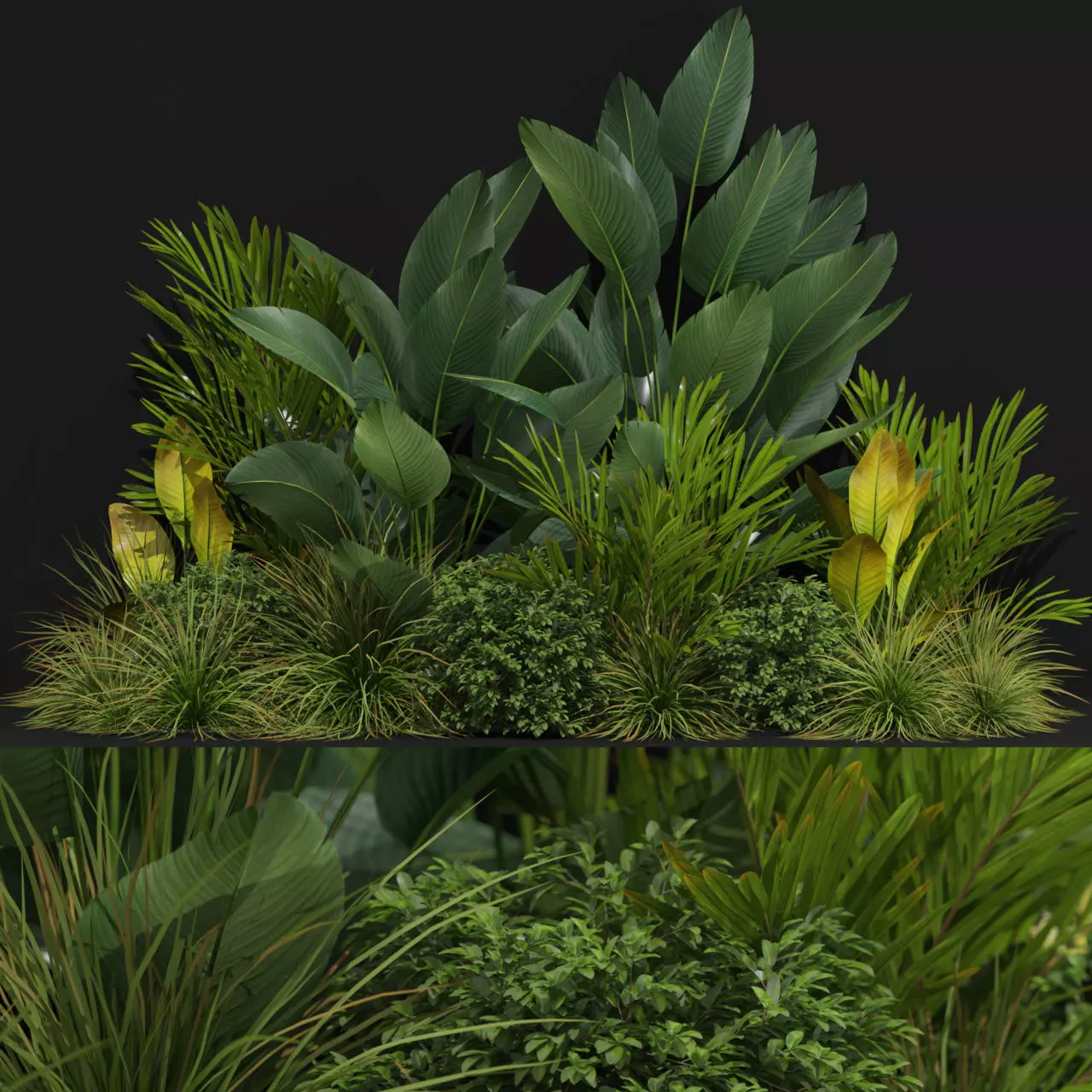 Plants collection 604 3D model_0