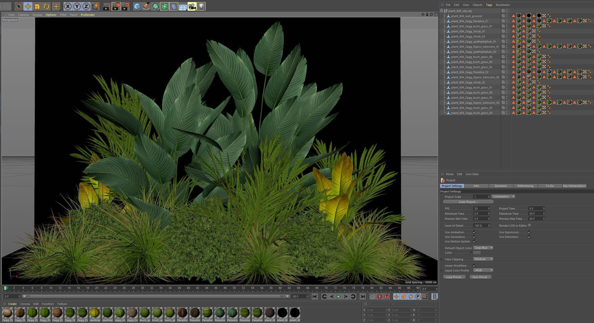 Plants collection 604 3D model_6