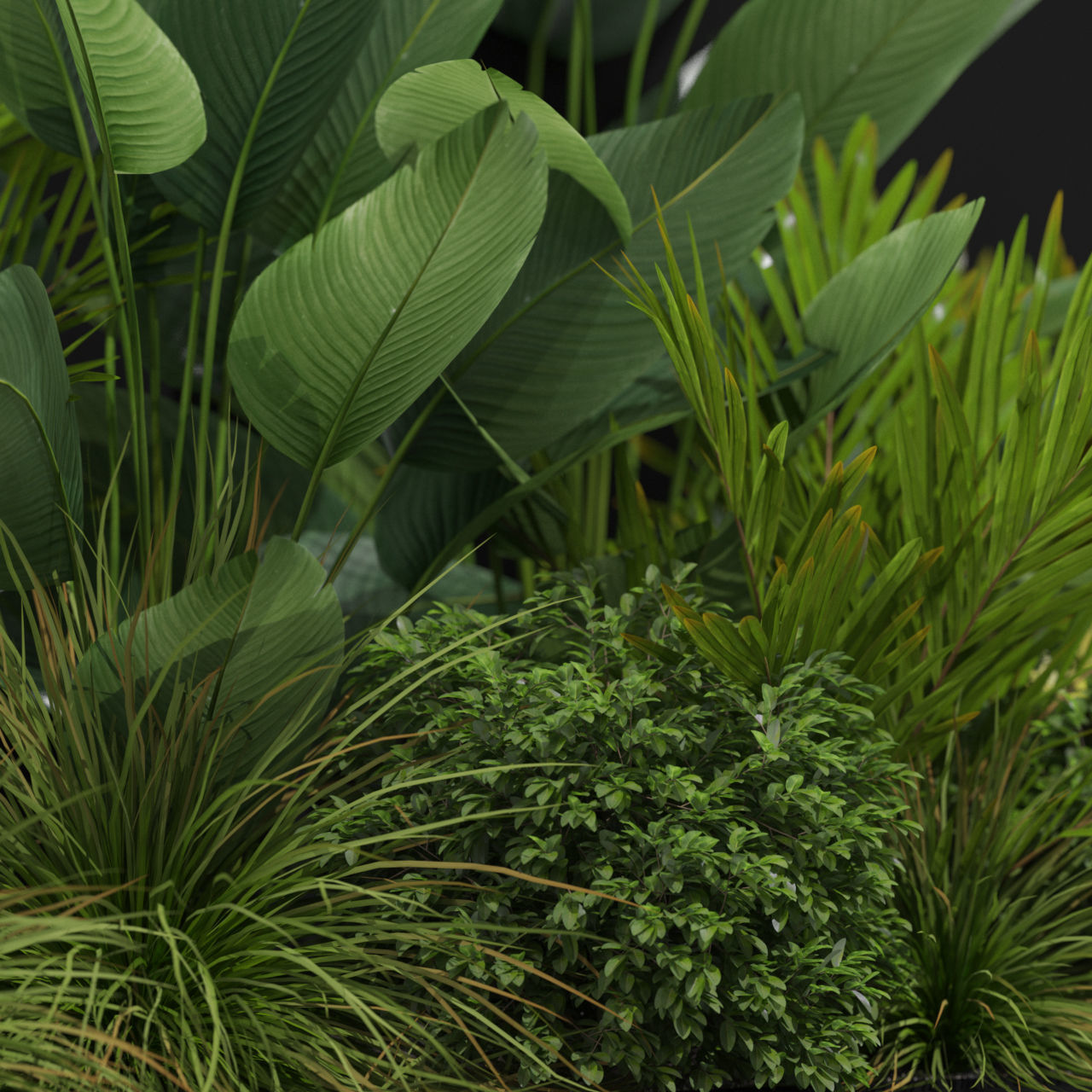 Plants collection 604 3D model_1