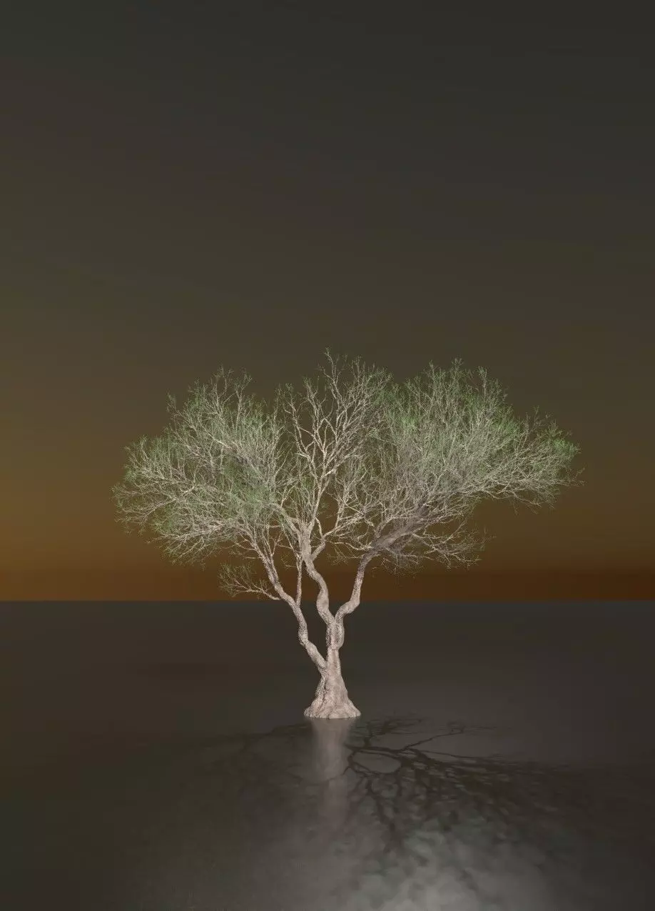 Arbol Tenebroso - Dark Tree 3D model_0